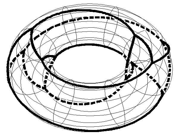 another sweet torus pic